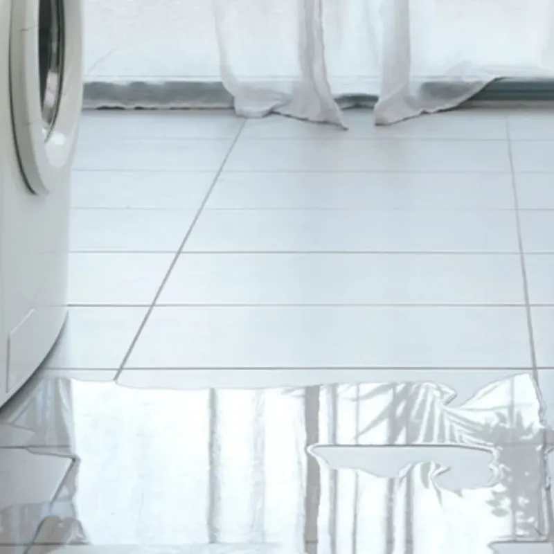Appliance Leak Cleanup in Sunnyvale, TX