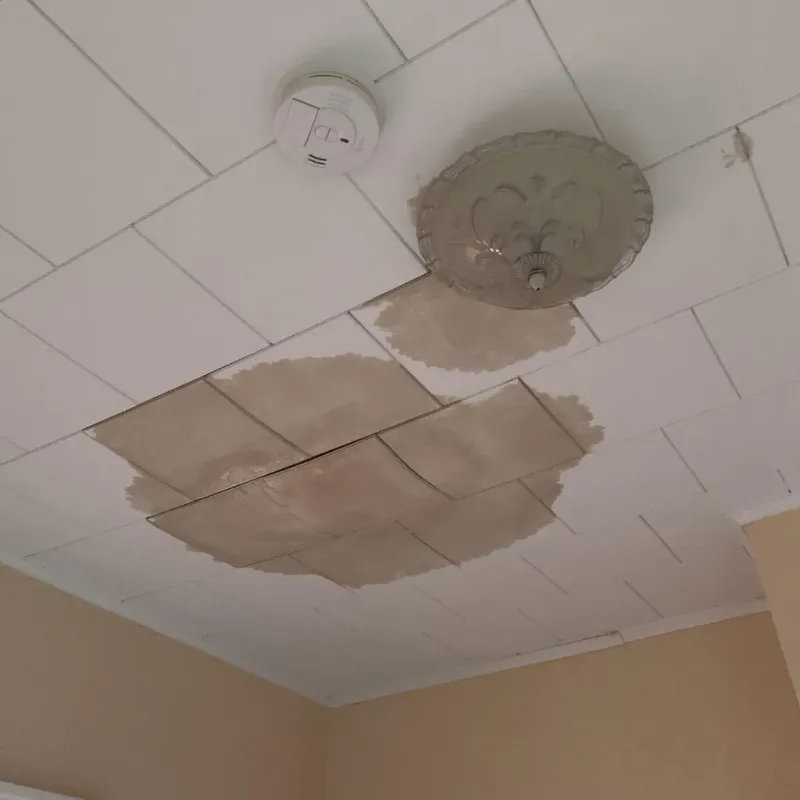 Ceiling Water Damage Repair in Sunnyvale, TX