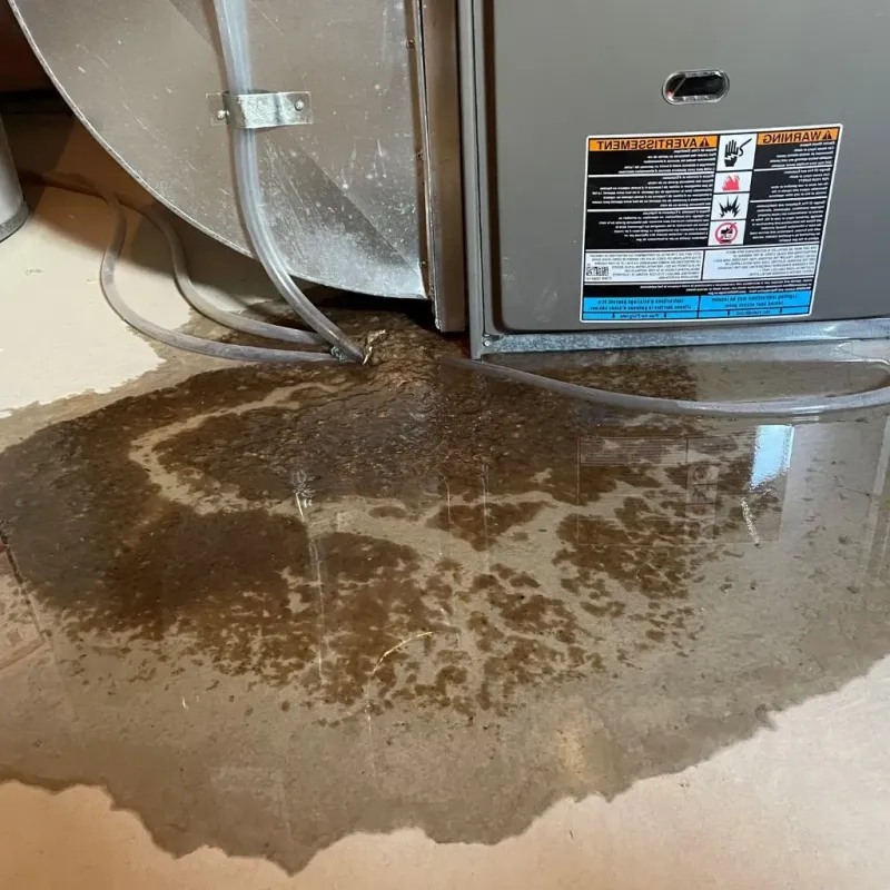 Pipe Burst and Leak Restoration in Sunnyvale, TX